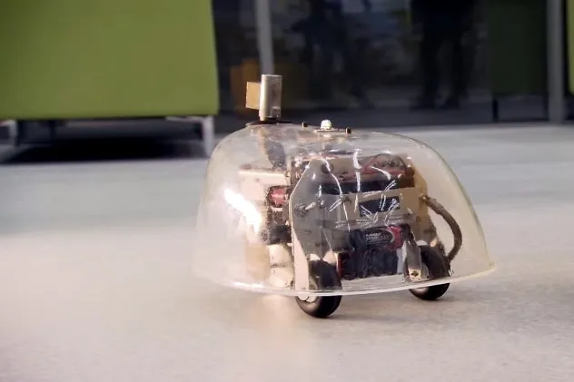 Video: 1940s Robotic Tortoise Navigates Through a Room By Itself!!