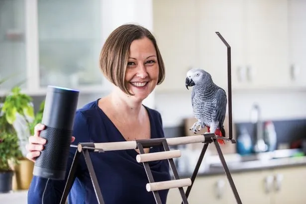 Amazon's voice assistant Alexa gets fooled by a pet parrot!! 0