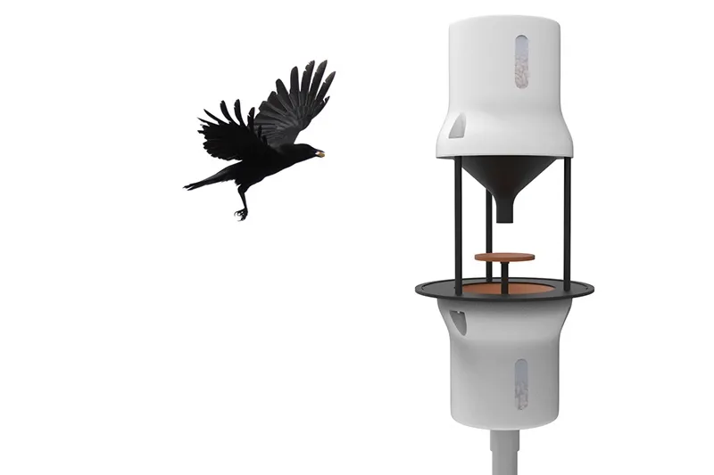 Dutch company to train crows to pick up cigarette butts. 0