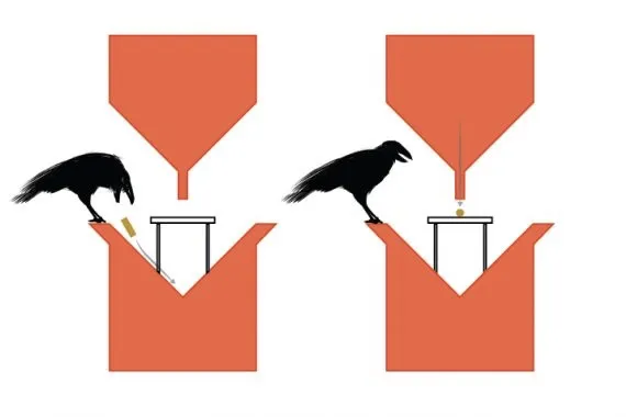 Dutch company to train crows to pick up cigarette butts. 1