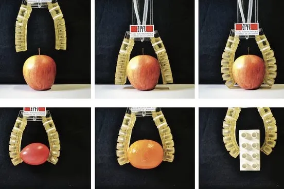Video: Soft robot fingers that are biodegradable 0