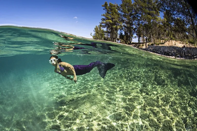 Video: This iPhone housing allows underwater tourscreen use 1