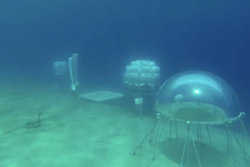 Video: A new form of agriculture, but under the water 1