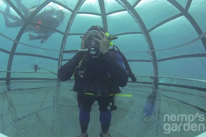 Video: A new form of agriculture, but under the water 0