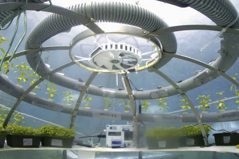 Video: A new form of agriculture, but under the water 2