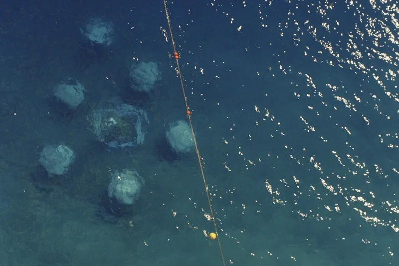 Video: A new form of agriculture, but under the water 3