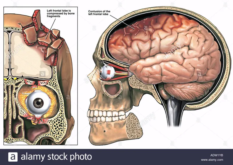 Regenerating medical innovation 1
