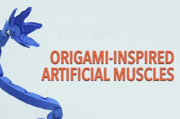 Video; Origami robot can lift 1,000 times their body weight
