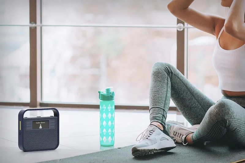 Video: Triby - Alexa's portable speaker