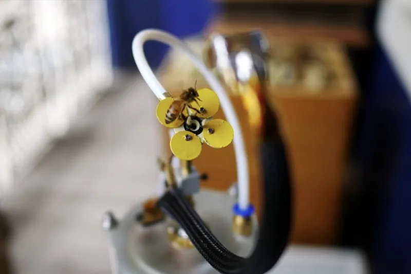 Video When Ecology and Technology meets