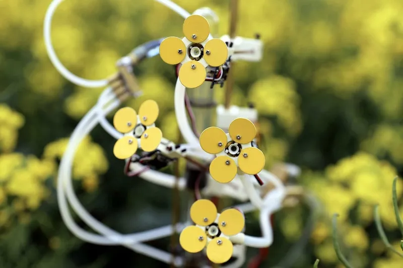 Video When Ecology and Technology meets
