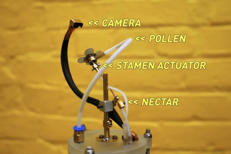 Video When Ecology and Technology meets