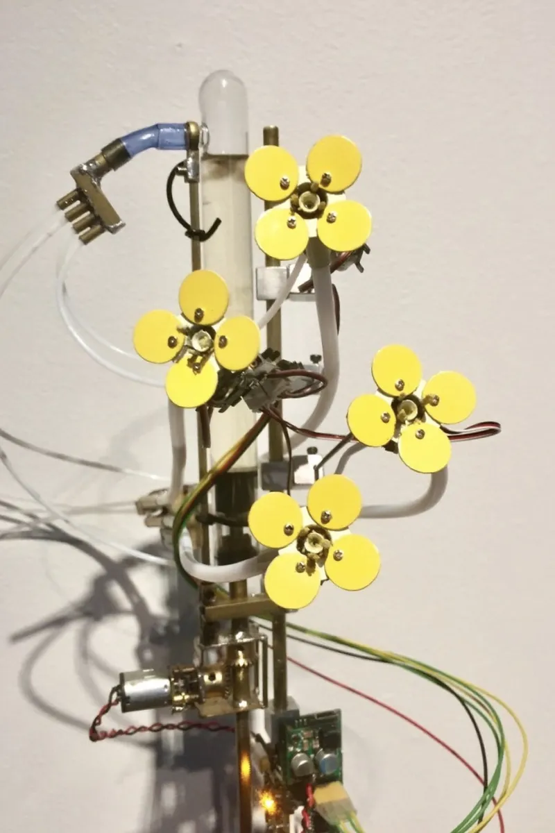 Video When Ecology and Technology meets