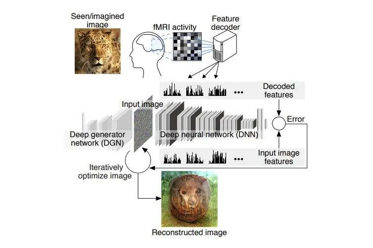 Video: Artificial intelligence can recreate what you are thinking