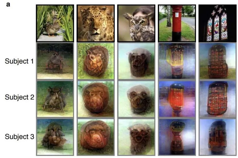 Video: Artificial intelligence can recreate what you are thinking
