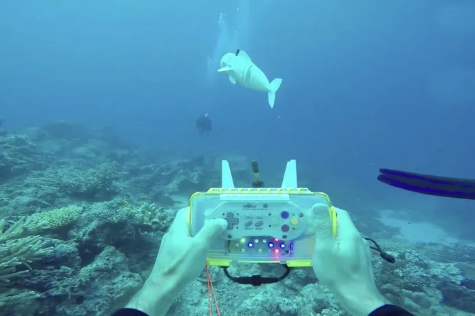 Video: This robotic fish is a realistic spy on marine life