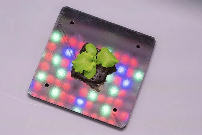 Scientists grows vegetables in sunless conditions