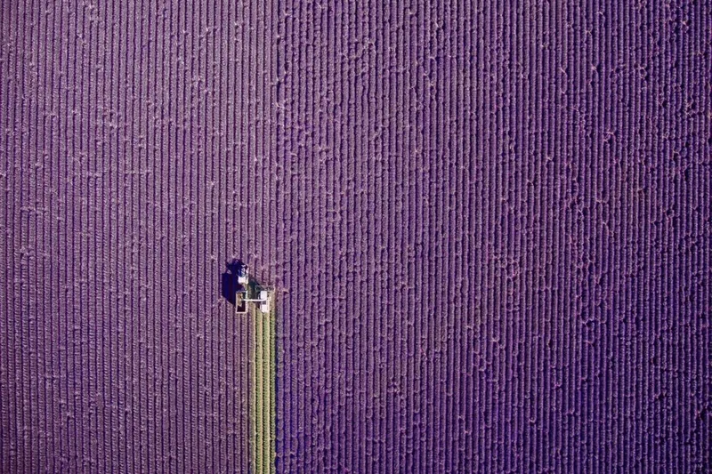 Video: Dronestagram winners take Photography to the next level! 0