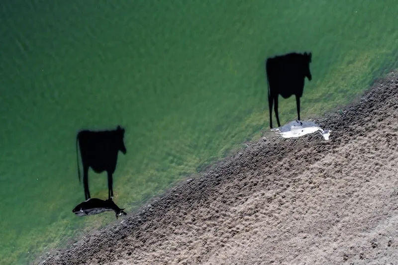 Video: Dronestagram winners take Photography to the next level! 9