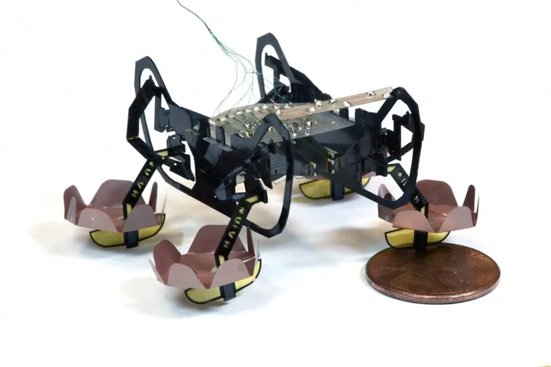 This micro-robot can walk on â or under â the water