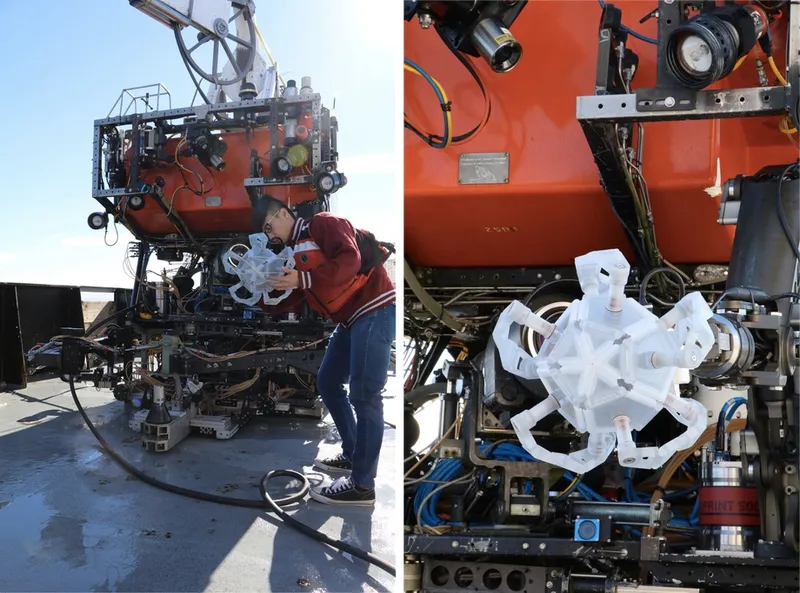 This 3D-printed origami can trap delicate creatures