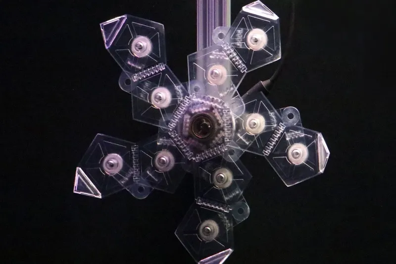 This 3D-printed origami can trap delicate creatures