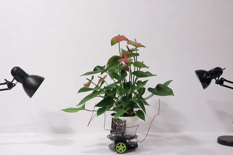 There Is A Hybrid Robot That Can Move Towards Light