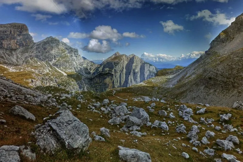 Google's AI is teaching itself photography! 11