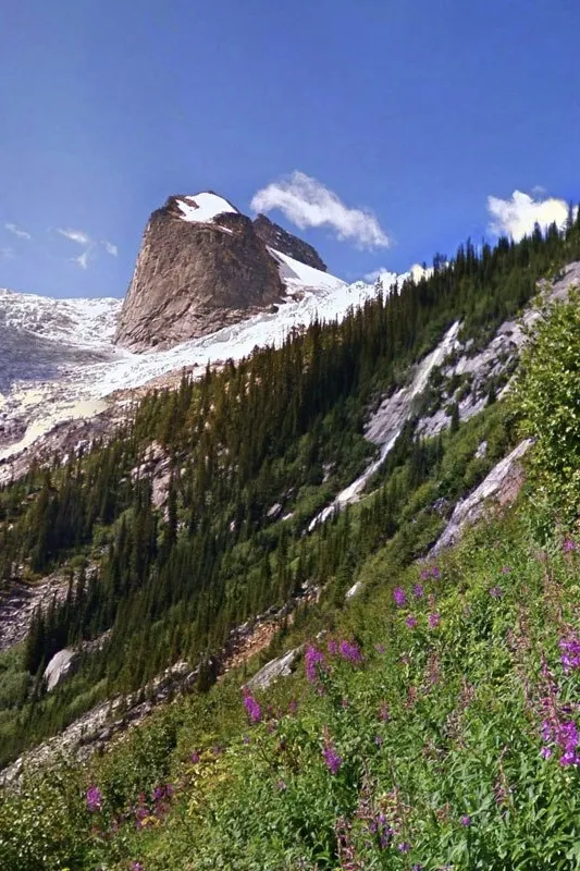 Google's AI is teaching itself photography! 4
