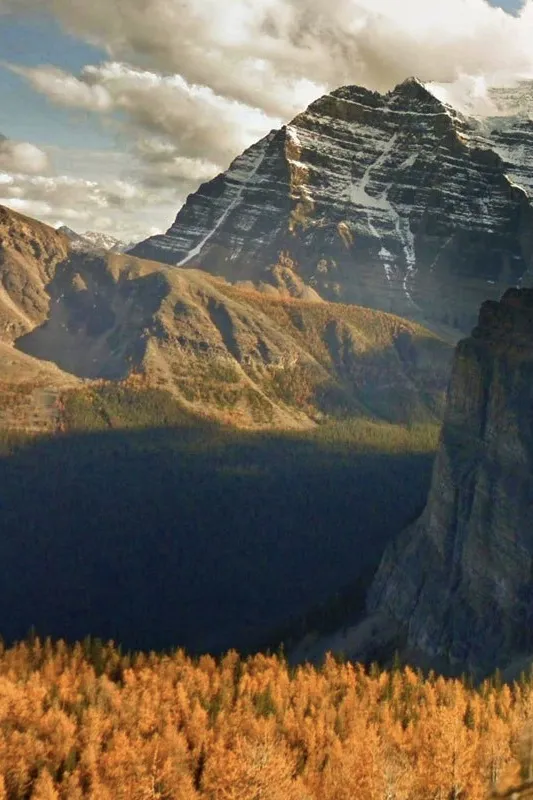 Google's AI is teaching itself photography! 2