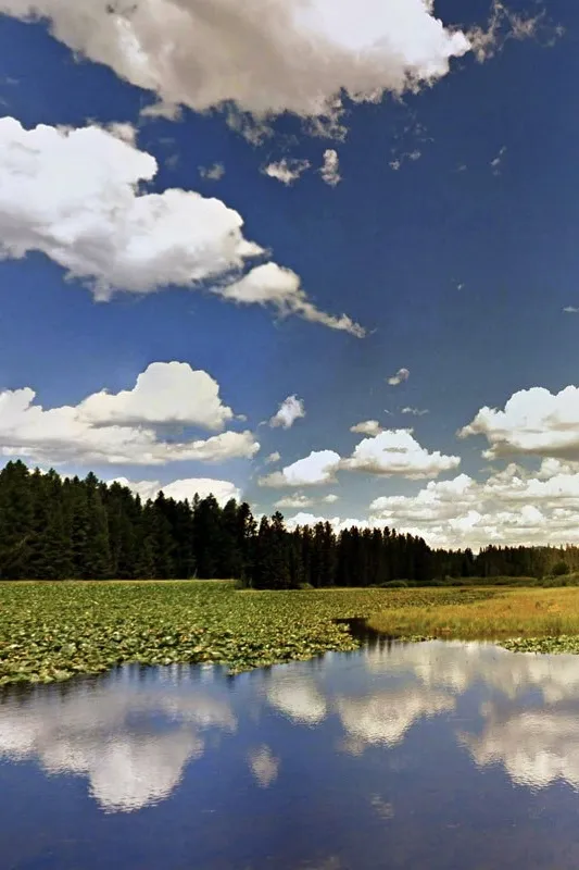 Google's AI is teaching itself photography! 1