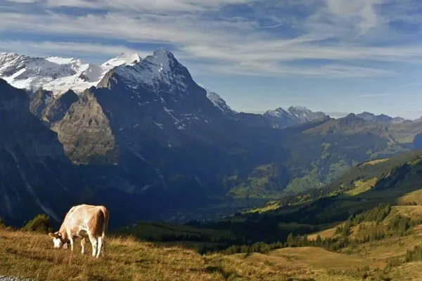 Google's AI is teaching itself photography! 0