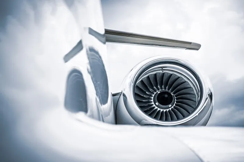 Why Is a Bird Strike So Dmagaing To Aeroplane Engines?