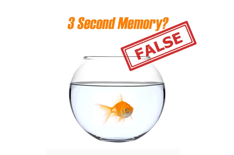 Common Myths That Are Still Mistaken As Facts - Busted By Science