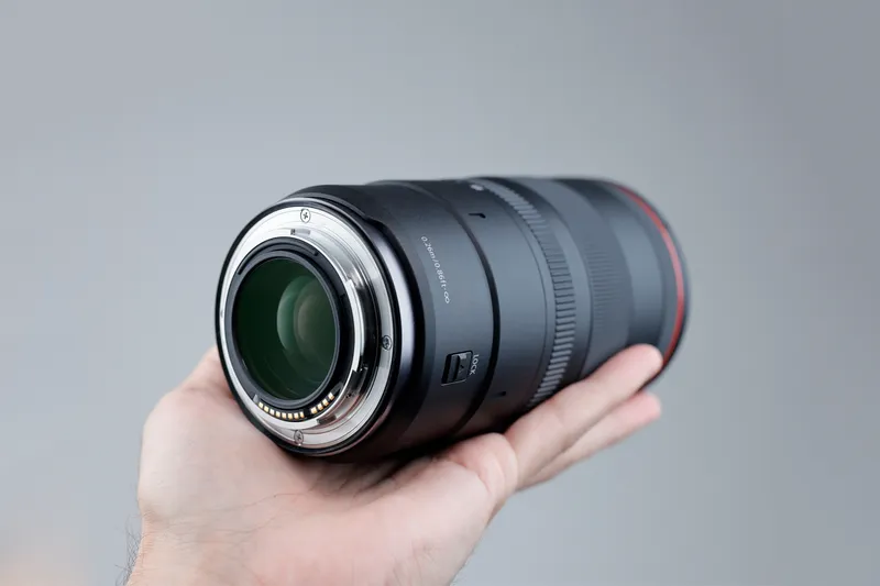 Canon's Brand New 100mm RF Macro Lens - It Changes Closeup Possibilities!