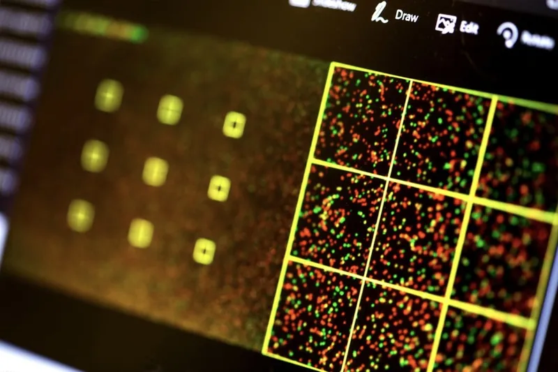 Using malware encoded in synthetic DNA researches hack a computer... 3