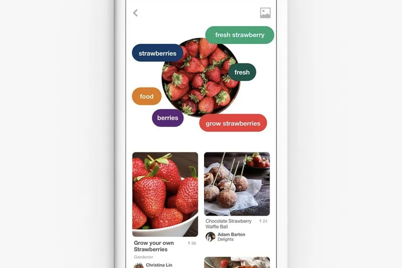 Pinterest Adds a Shazam For Food to Their App! 0