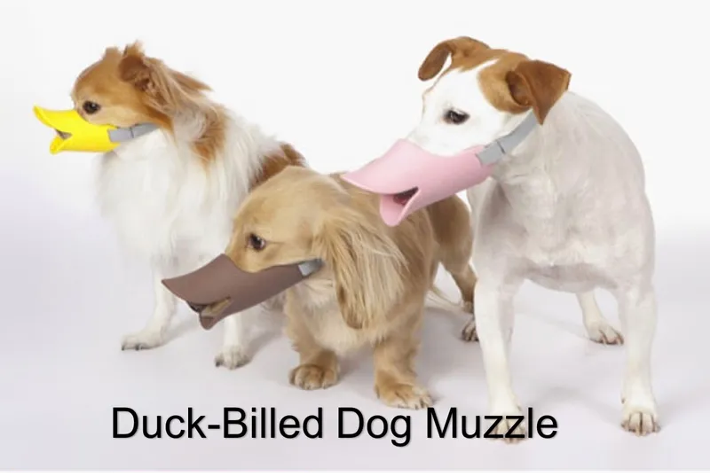 10 Unusual and Crazy Useful Gadget Inventions 2
