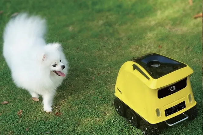 Video: The Anthouse is a robot for your dog... 2