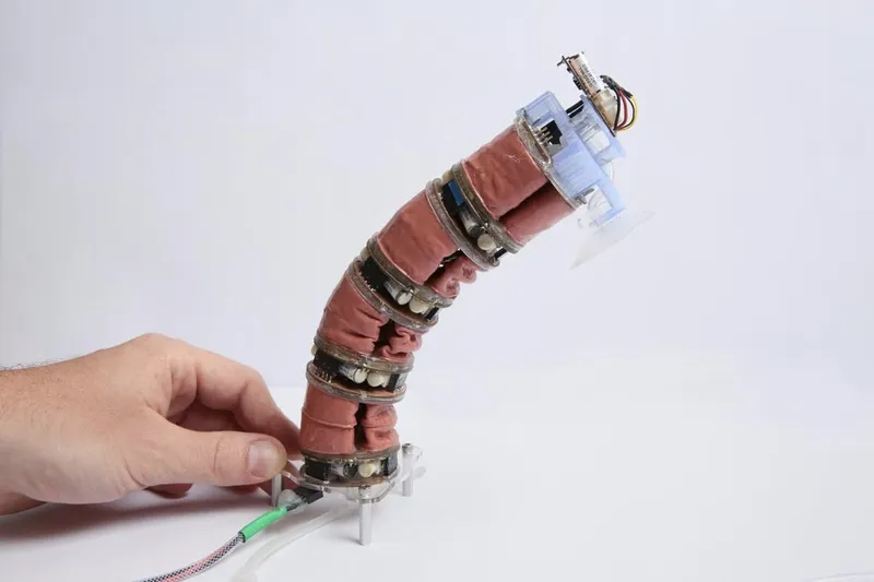 Video: New robot sucks it up to get the job done!! 0